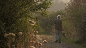 Eneagrama en Pamplona